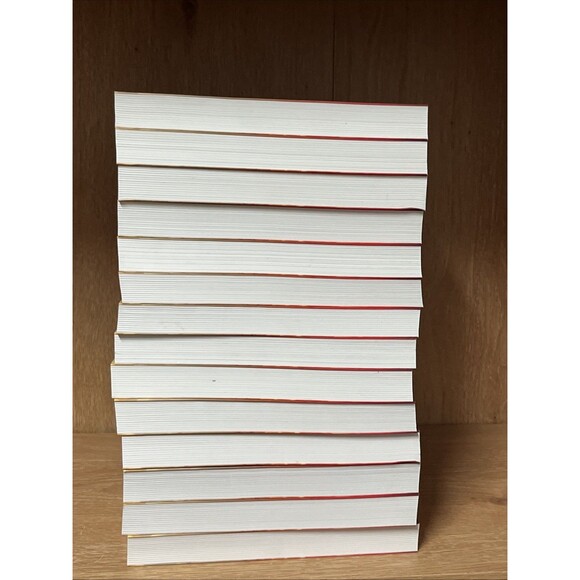 德川家康全傳新版(全27冊,平裝,不分售) New Edition of Complete Biography Tokugawa Leyasu - Picture 6 of 6